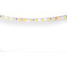 Лента LIGHTSTAR LED 420510 24V 12W 120leds/M 26-28 lm amber IP20 5м