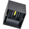 Светильник LIGHTSTAR DALLA 340537 2х10W LED 2200LM G 4000K черный