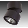 Светильник накладной LIGHTSTAR FORTE MURO 214857